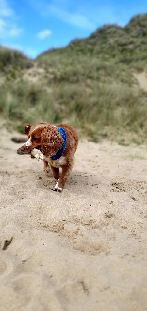 Furbabiesgowalkies