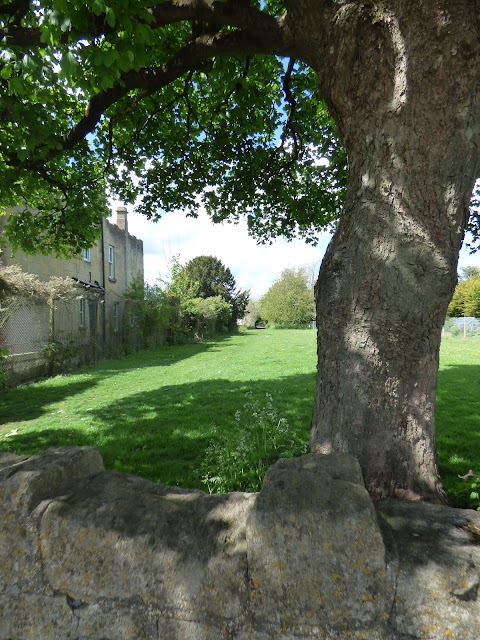 Hawthorn Grove public space