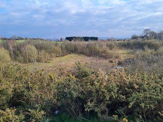 Baggeridge Country Park Car Park