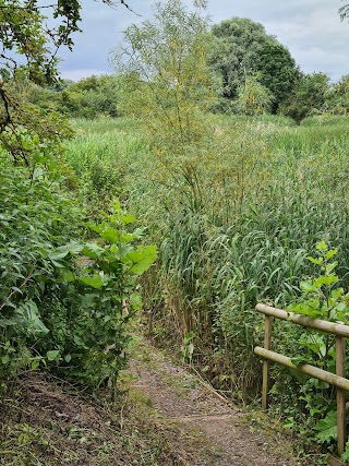 Hooks Hall Pond