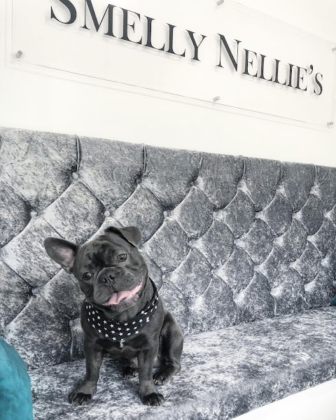 Smelly Nellie's Dog Grooming Boutique