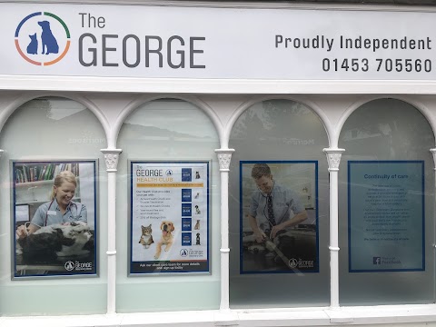 The George Veterinary Clinic