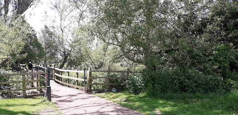 North End Wildlife Pond