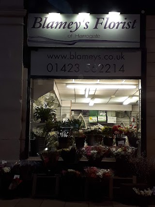 Blamey's Florist of Harrogate