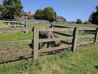 East Hull Community Farm