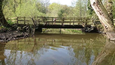 Brotherton Park and Dibbinsdale Local Nature Reserve