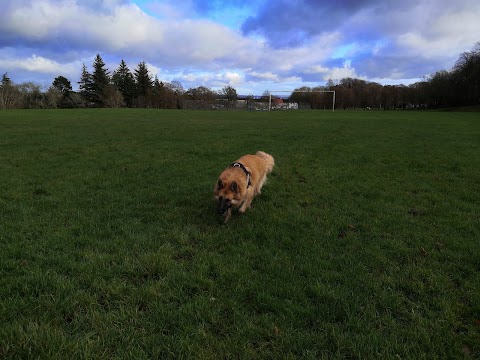 Cambuslang Public Park