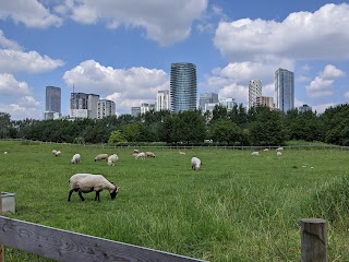 Mudchute Park and Farm