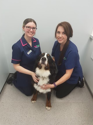 Vets4Pets - Walkden