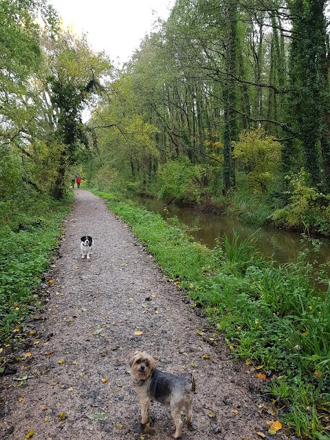 Fishlake Meadows Nature Reserve