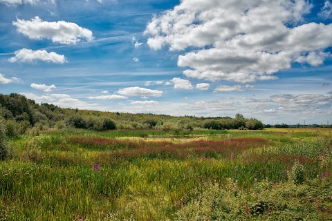 RSPB Fairburn Ings