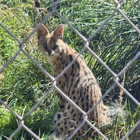 Axe Valley Wildlife Park