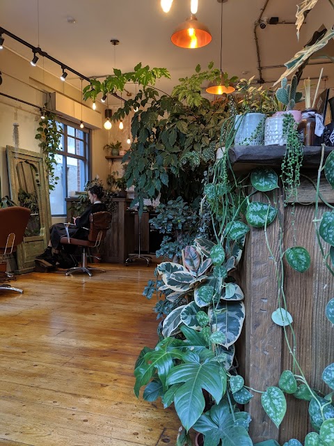 Cult and Bloom Hair salon