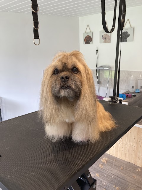 Doodle Lu's Dog grooming