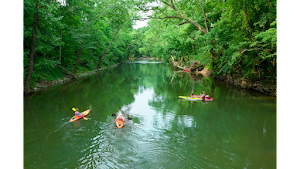 Cave Country Canoes