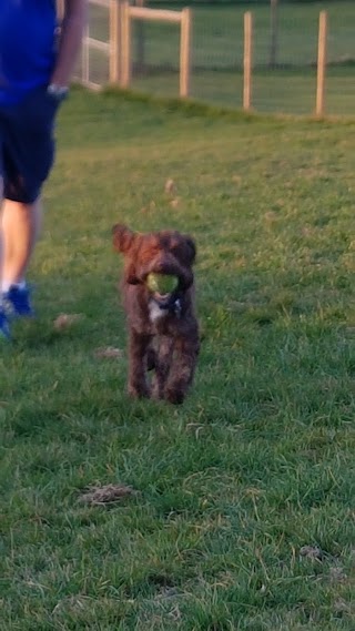 Wharfedale Kennels and Cattery