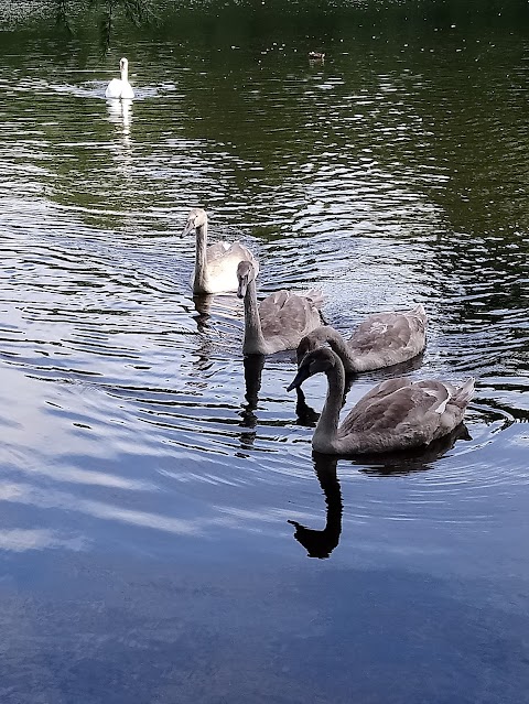 Tredegar House Country Park Caravan and Motorhome Club Campsite