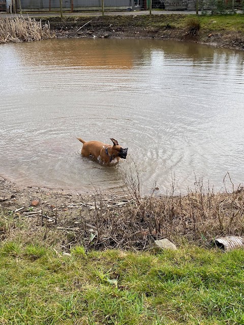 Scarisbrick Dog Walking Field