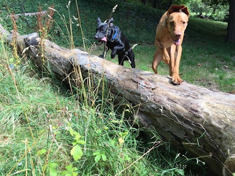 Muddy Paws And Waggy Tails