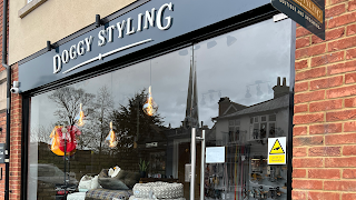 Doggy Styling Boutique & Grooming - Weybridge