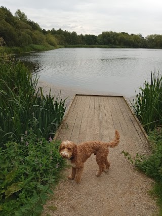 Walking Arthur's Gang