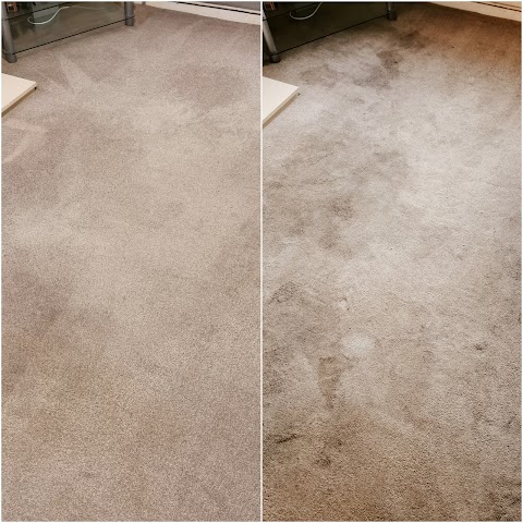 Cleanology NI - Carpet & Upholstery Cleaning