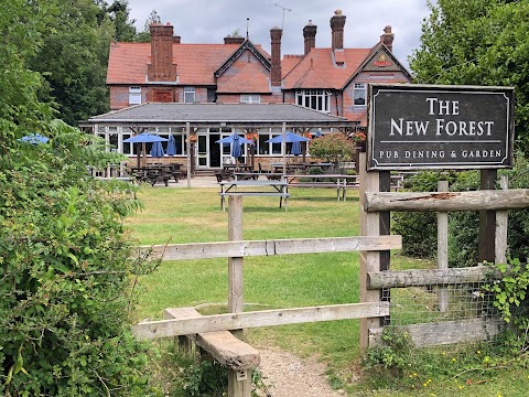 The New Forest, Ashurst