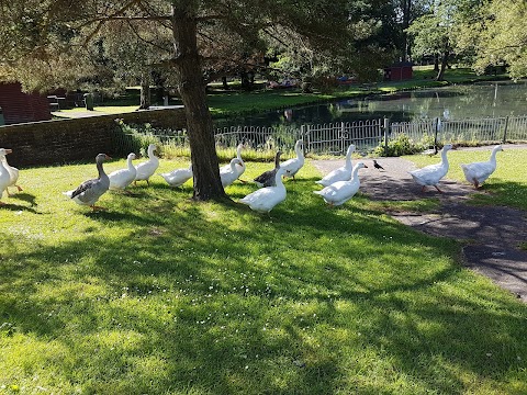 Singleton Park Boating Lake