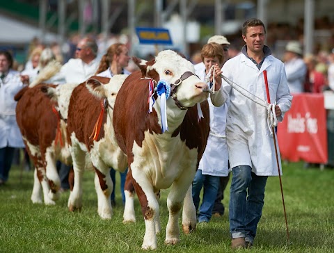 Royal Norfolk Agricultural Association