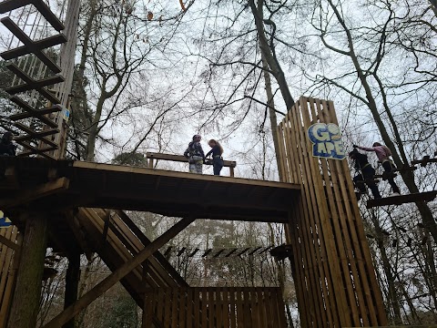 Go Ape Black Park