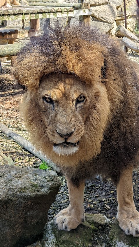 Heythrop Zoological Gardens