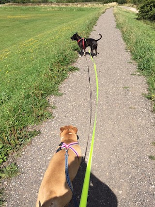 Muddy Paws And Waggy Tails