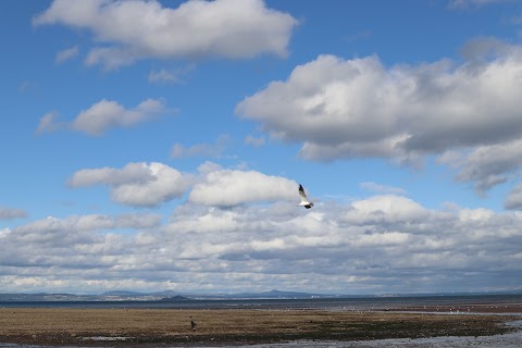 Musselburgh Beach