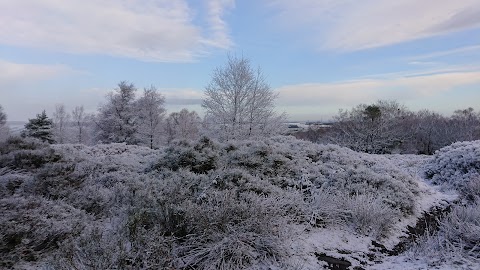 Stocksbridge High School