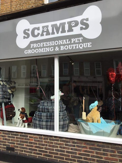 Scamps Professional Pet Grooming