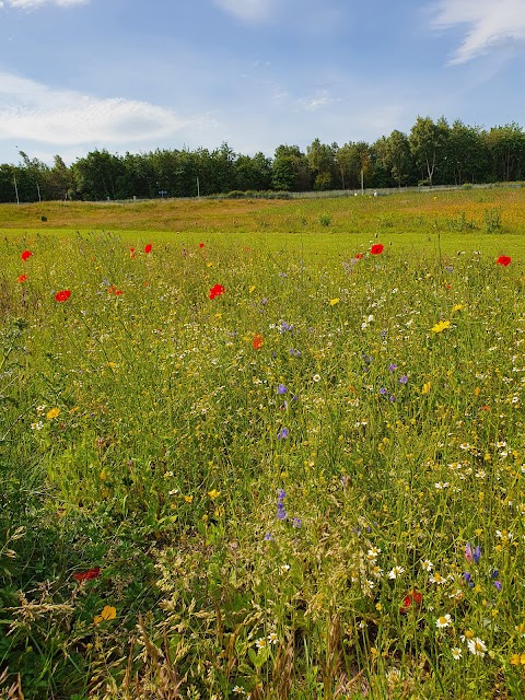 Gyle Park