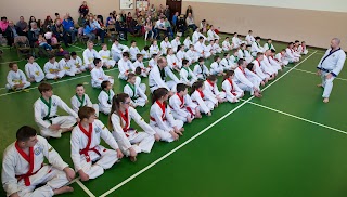 Robson's Family Karate