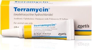 Terramycin Ophthalmic Ointment for Dogs & Cats