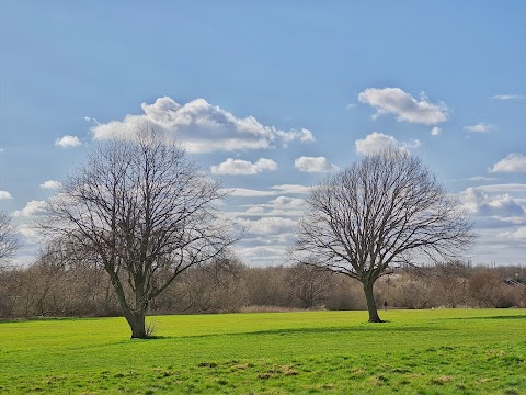 Kingfisher Country Park