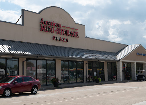 American Mini Storage Plaza