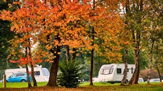 Alderstead Heath Caravan and Motorhome Club Campsite