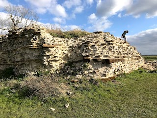 Silchester Amphitheatre