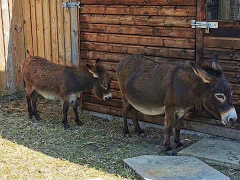 Hamerton Zoo Park