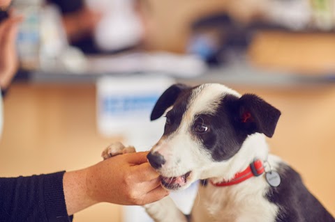 Bath Veterinary Group, Oldfield Park Veterinary Surgery