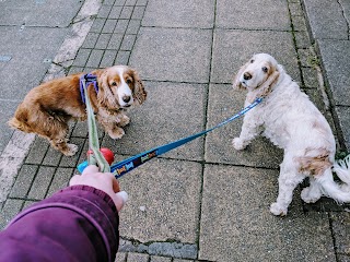 Connaught House Veterinary Hospital