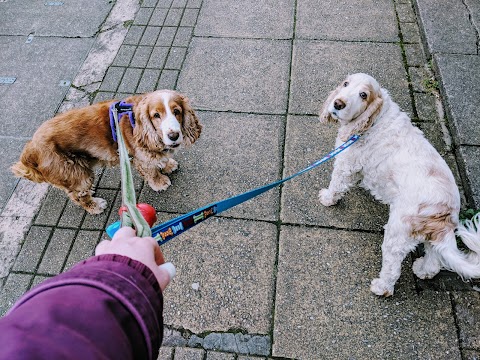 Connaught House Veterinary Hospital