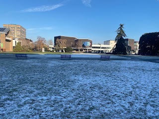 University of Reading