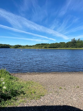 Lochore Meadows