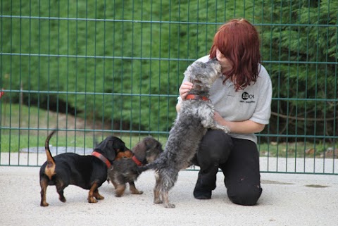 Highcroft Luxury Boarding Kennels and Cattery