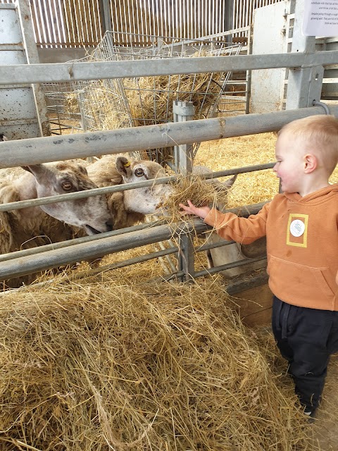 Forster's Farm Shop